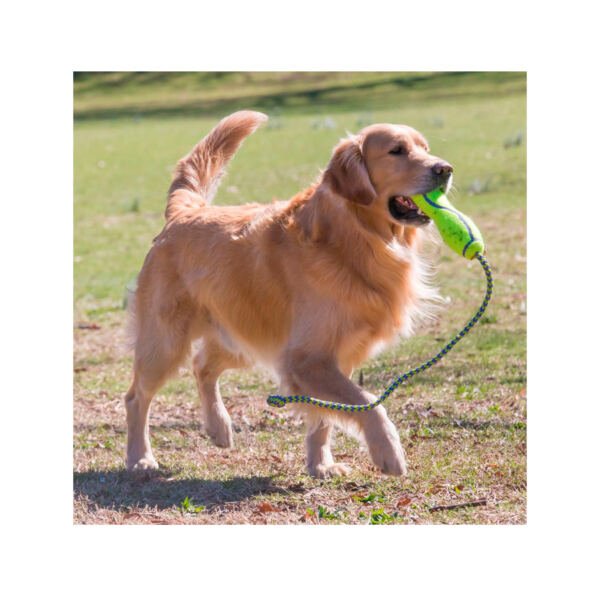 Kong Airdog Fetch Stick con Cuerda - Juguete para Perro
