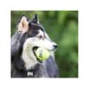 Kong Pelotas Tennis SqueakAir - Juguete para Perro