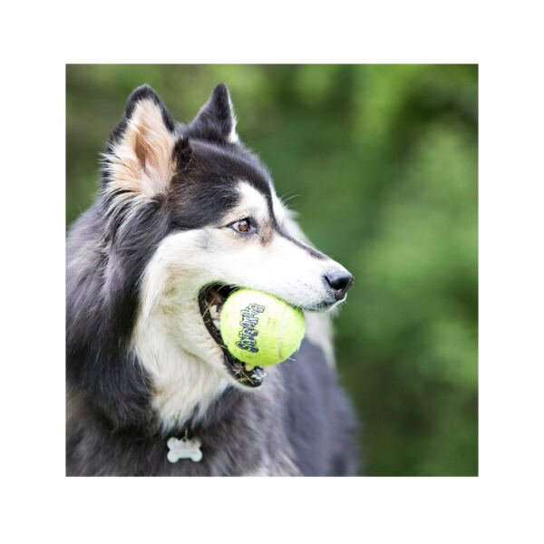 Kong Pelotas Tennis SqueakAir - Juguete para Perro