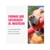 Kong Goodie Bone - Hueso para Perro