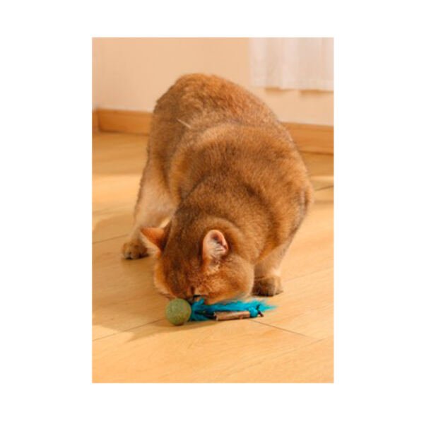 6953182748397_2 M-Pets Charmy Bolita con Catnip y Matatabi - Juguete para Gato