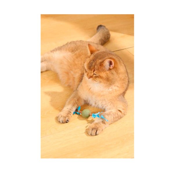 M-Pets Charmy Rama con Bola Catnip – Juguete para Gato