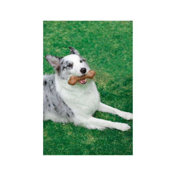 M-Pets Chewood Hueso - Juguete para Perro
