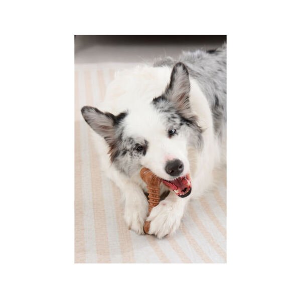 M-Pets Chewood Hueso - Juguete para Perro