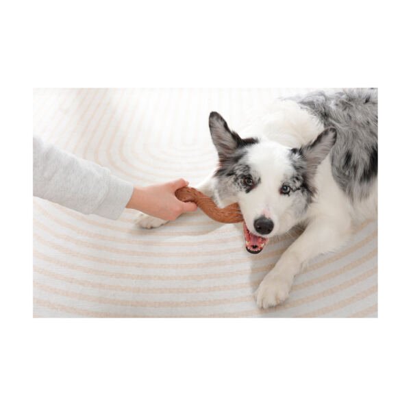 M-Pets Chewood Twist - Juguete para Perro