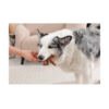M-Pets Chewood Rama - Juguete para Perro