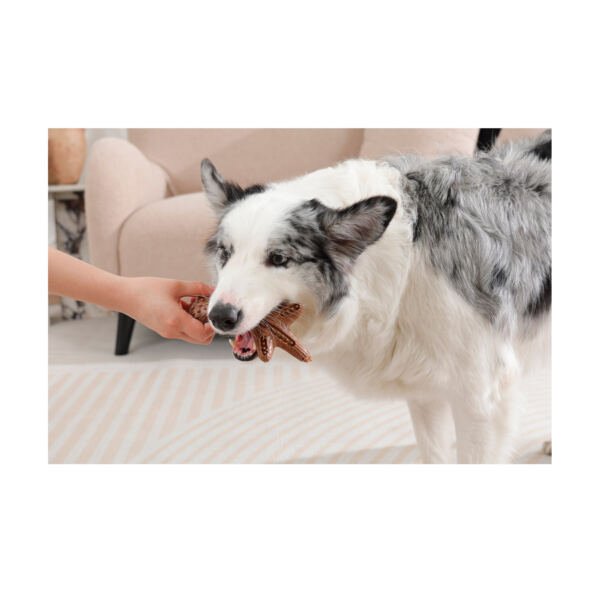 M-Pets Chewood Rama - Juguete para Perro