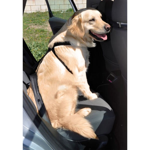8427458822411_2 Nayeco Arnés de Seguridad - Accesorio para Perro