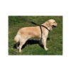 8427458822411_3 Nayeco Arnés de Seguridad - Accesorio para Perro