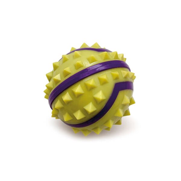 8435117831629 Arquivet Pelota Strong - Juguete para Perro