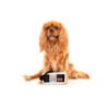 9345719072087_2 FuzzYard Dogtendo Controller - Juguete para Perro