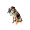 FuzzYard Active Fetch N Float - Juguete para Perro