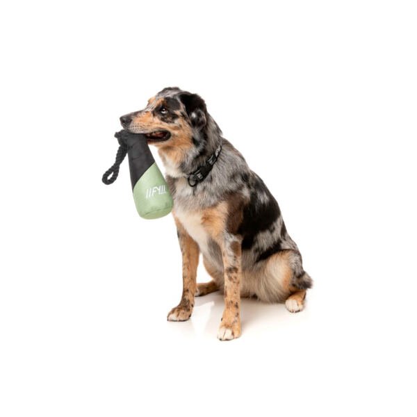 FuzzYard Active Fetch N Float - Juguete para Perro