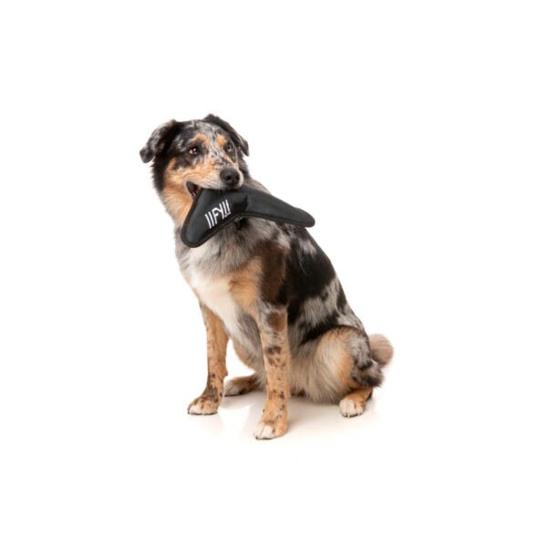 9345719079642_2 Fuzzyard Active Flyer - Juguete para Perro