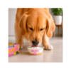 GELATO PERRO Fidovet Helado Vainilla - Snack para Perro