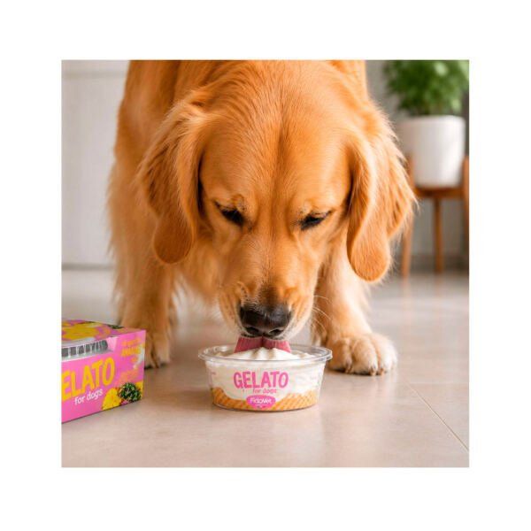 GELATO PERRO Fidovet Helado Vainilla - Snack para Perro