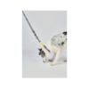 M-Pets Wild Jungle Collar Zebra - Accesorio para Perro