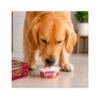 YOGURT PERRO Fidovet Yogur de Vainilla - Snack para Perro