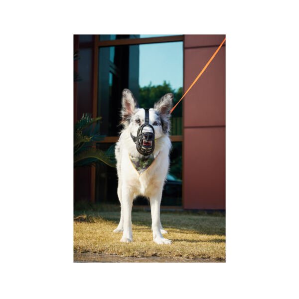 bozaal bark guard amarillo_1 M-Pets Bozal Bark Guard - Accesorio para Perro