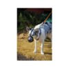 bozaal bark guard amarillo_2 M-Pets Bozal Bark Guard - Accesorio para Perro