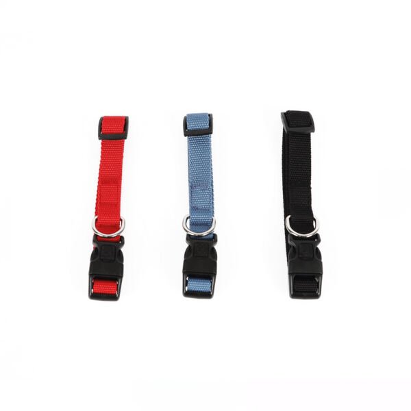 collar eco jolly colores M-Pets Jolly Eco Collar Azul - Accesorio para Perro