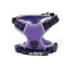 hiking lila_1 M-Pets Arnés Hiking Lila - Accesorio para Perro