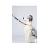 M-Pets Wild Jungle Collar Camuflaje - Accesorio para Perro