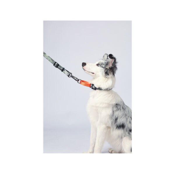 M-Pets Wild Jungle Collar Camuflaje - Accesorio para Perro