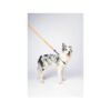 wils safari camuflaje correa_3 M-Pets Wild Jungle Arnés Safari - Accesorio para Perro
