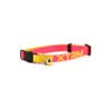 Nayeco Collar X-Trm Neon Flash - Accesorio para Gato