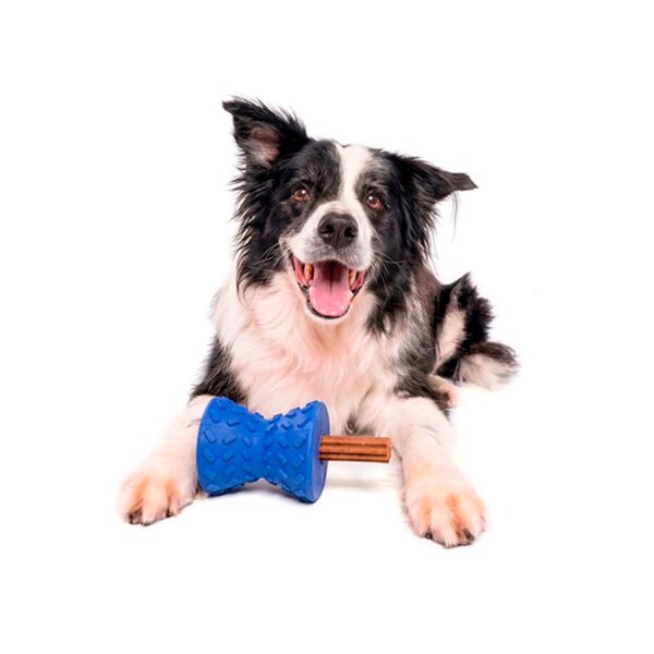 Nayeco Diábolo Dispensador Azul - Juguete para Perro
