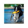 Kiwi Walker Zeppelin - Juguete para Perro