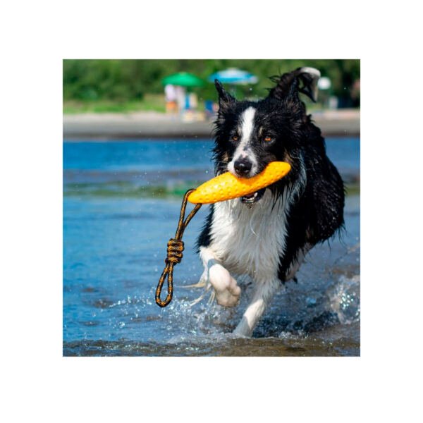 Kiwi Walker Zeppelin - Juguete para Perro
