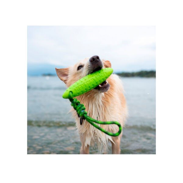 Kiwi Walker Zeppelin - Juguete para Perro