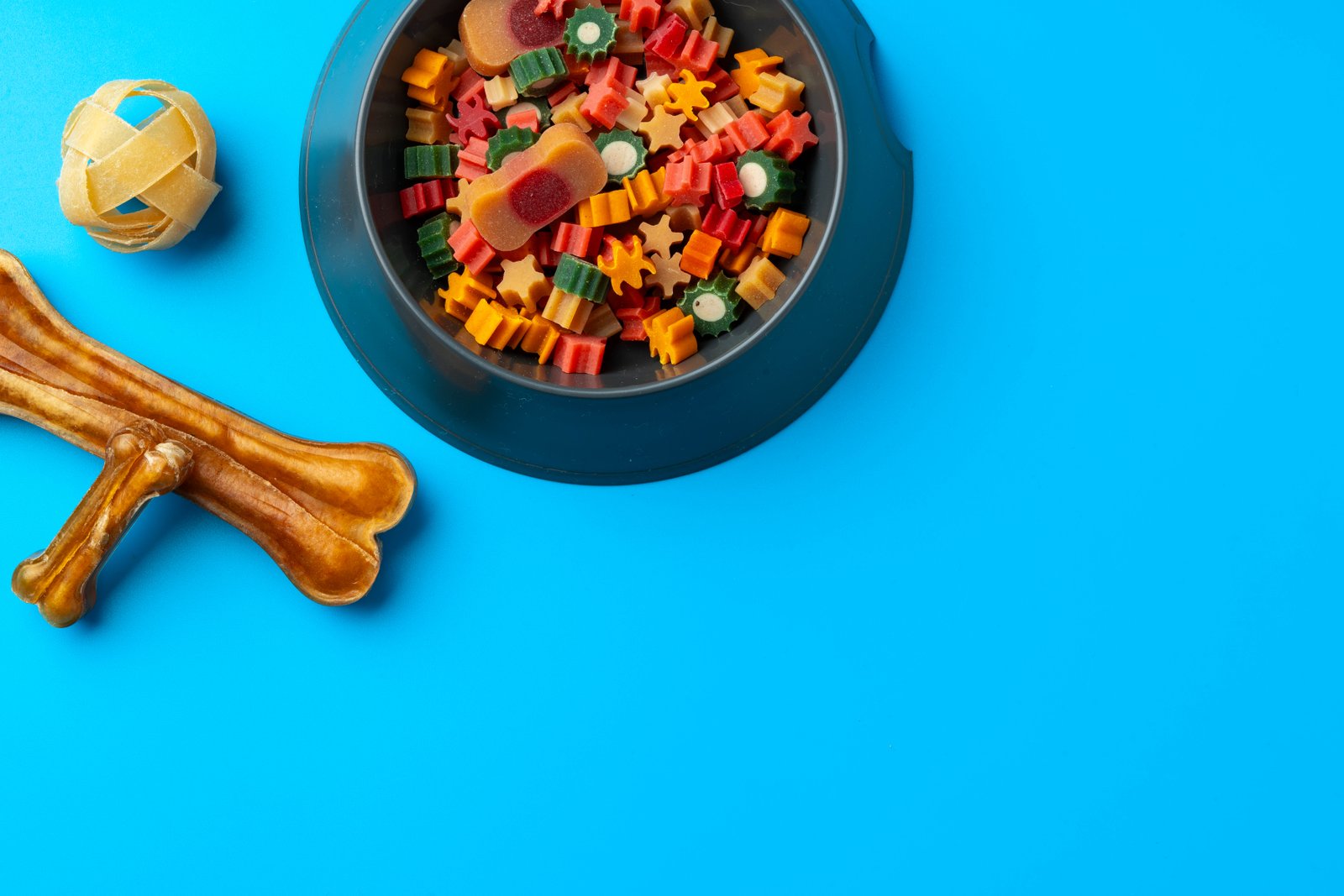 Alimentación para mascotas en Canovelles