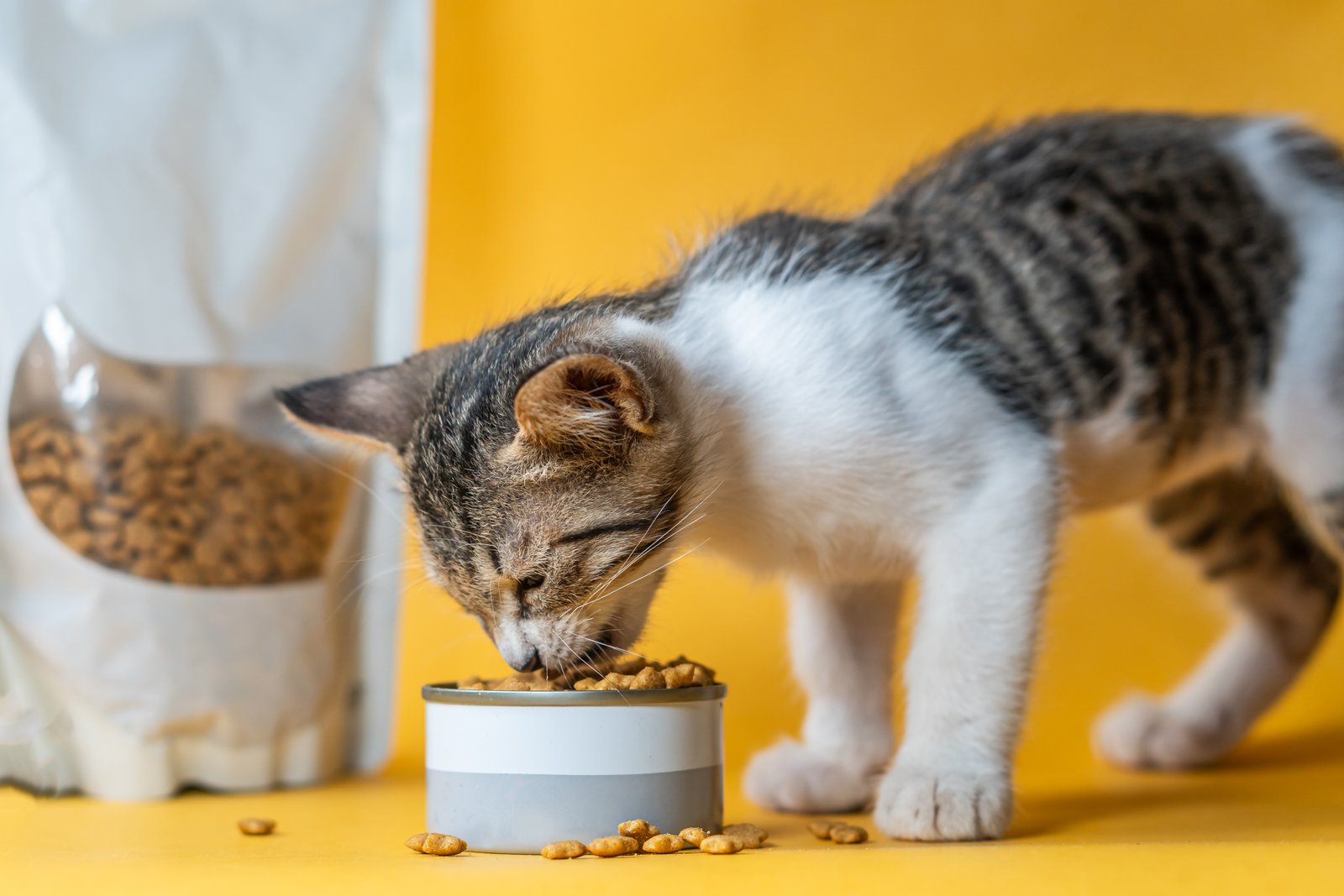 Alimentación para mascotas en Cardedeu